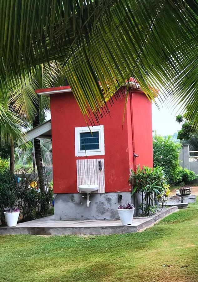 Twitter Paradise Ampeni Exterior foto