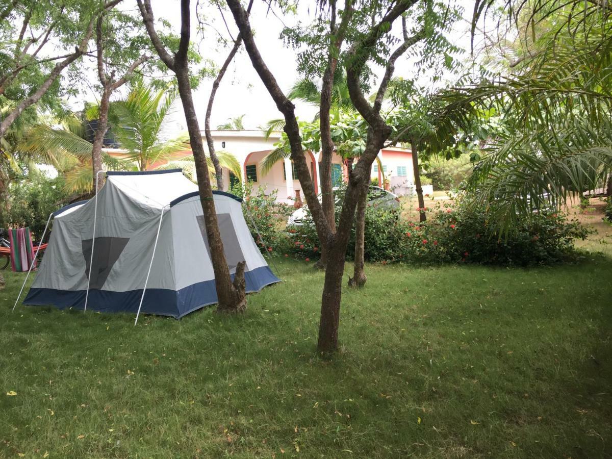 Twitter Paradise Ampeni Exterior foto